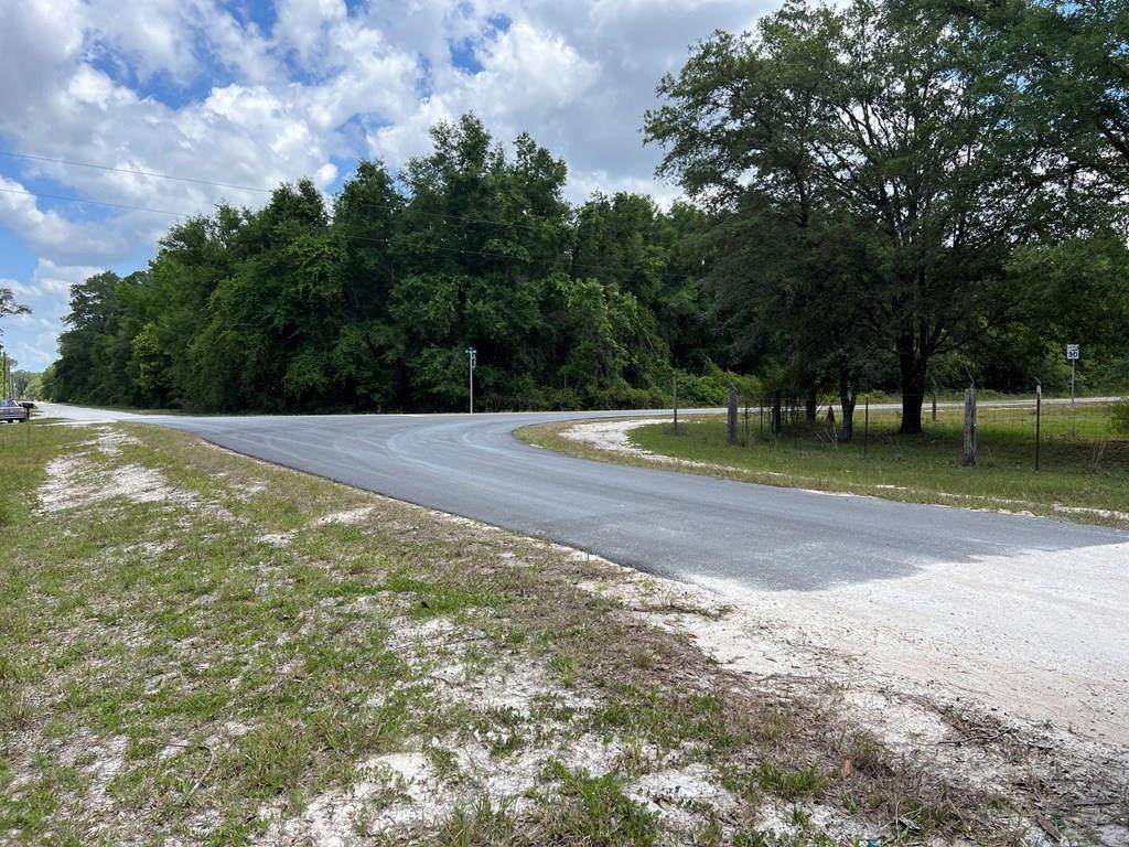 Lot 55 497th St NE, Old Town, FL 32680 (MLS 786460) Hatcher Realty