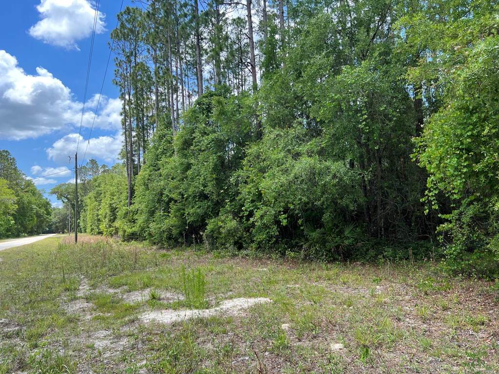 Lot 55 497th St NE, Old Town, FL 32680 (MLS 786460) Hatcher Realty