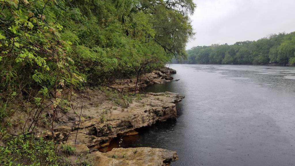 198th Trail - Photo 1