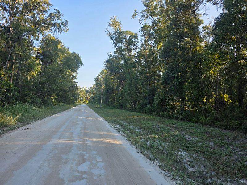 Lot 17 386th Ave - Photo 1