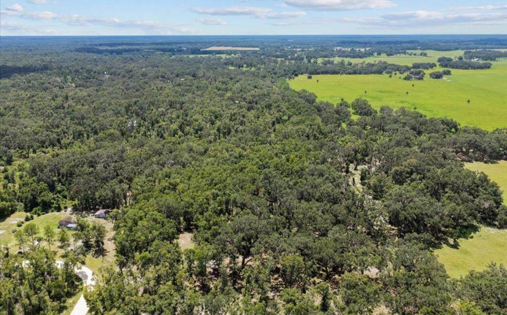 Lot 27 489th St - Photo 1