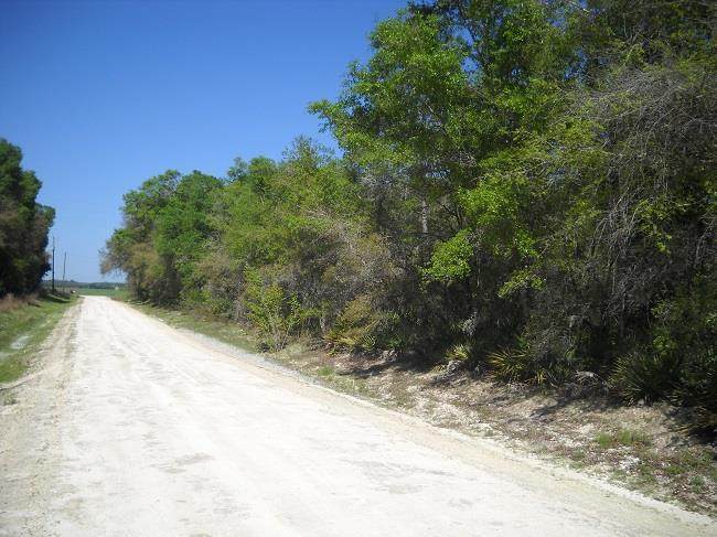 Lot 4 465th Ave - Photo 1