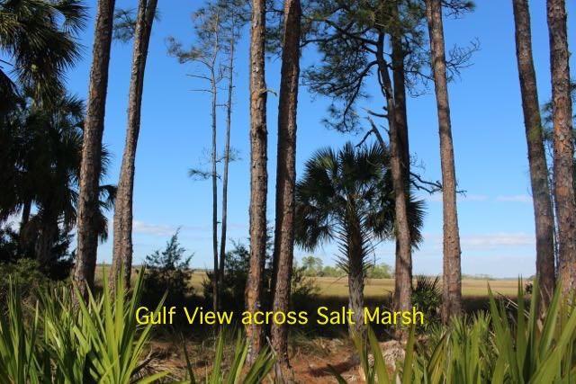 Easement - Photo 1