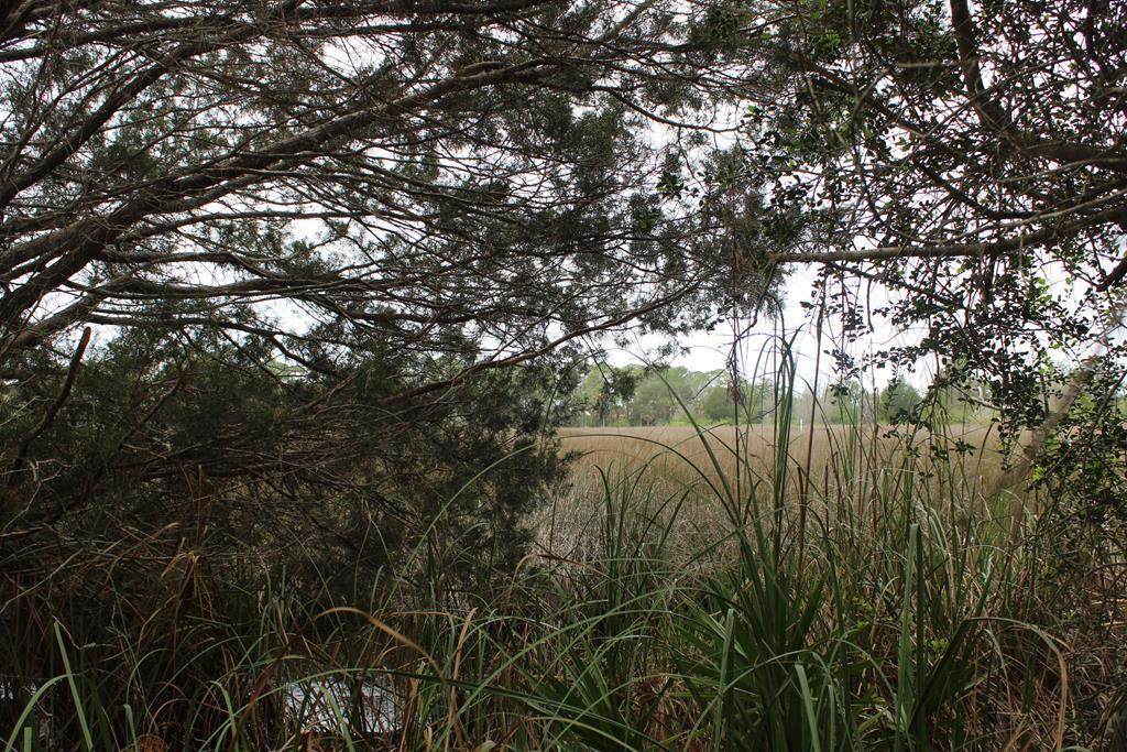 Lot 23 155th Ct - Photo 1