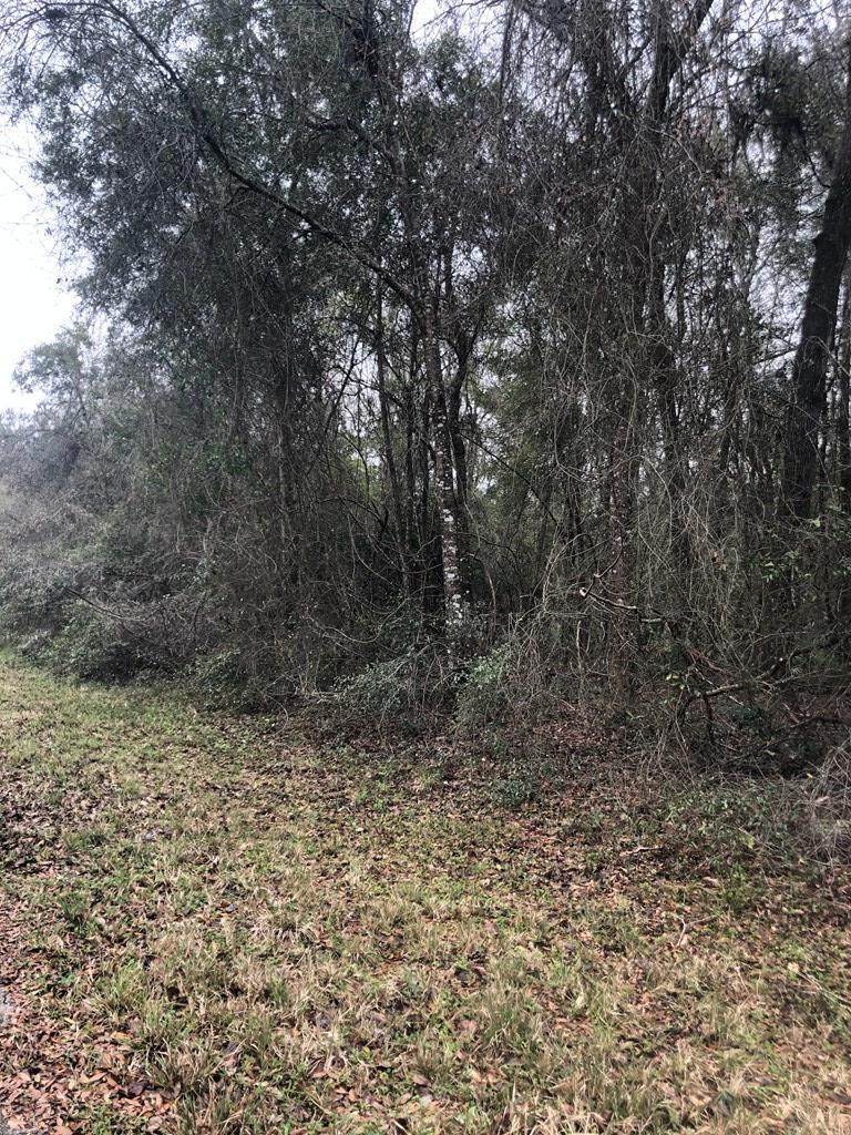 Lot 26 23rd Ln - Photo 1