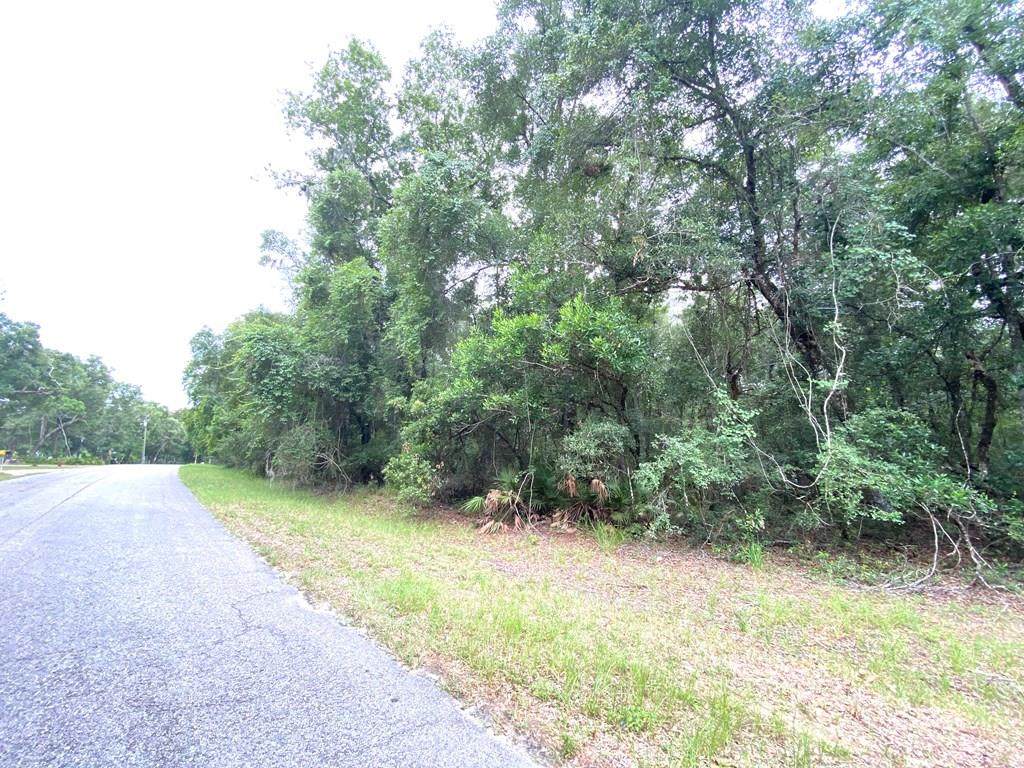 Lot 5 117 Ave - Photo 1