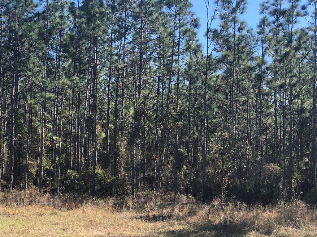 County Road 340 - Photo 1