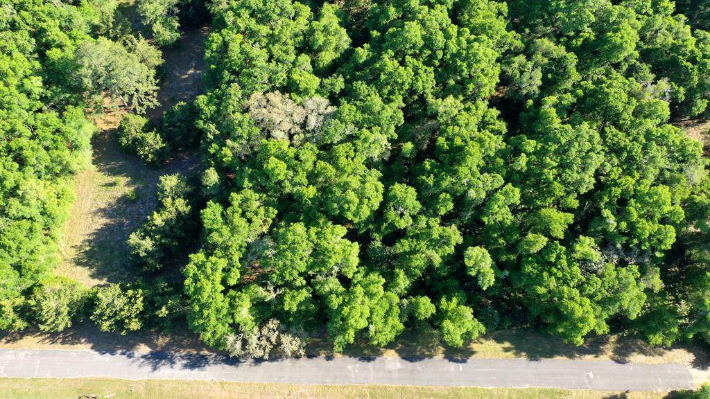 LOT 99 45th Ter - Photo 1
