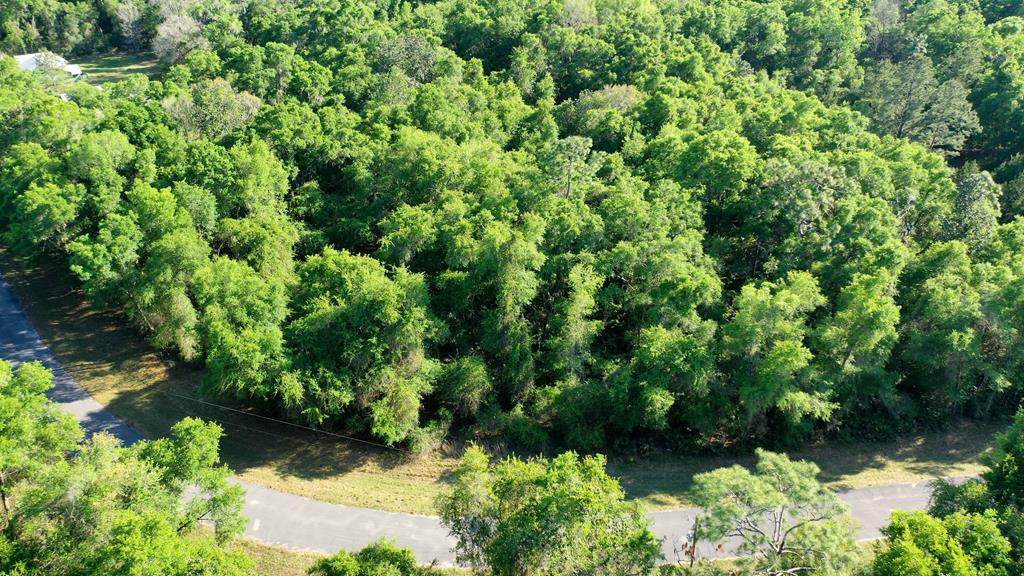 LOT 98 45th Ter - Photo 1