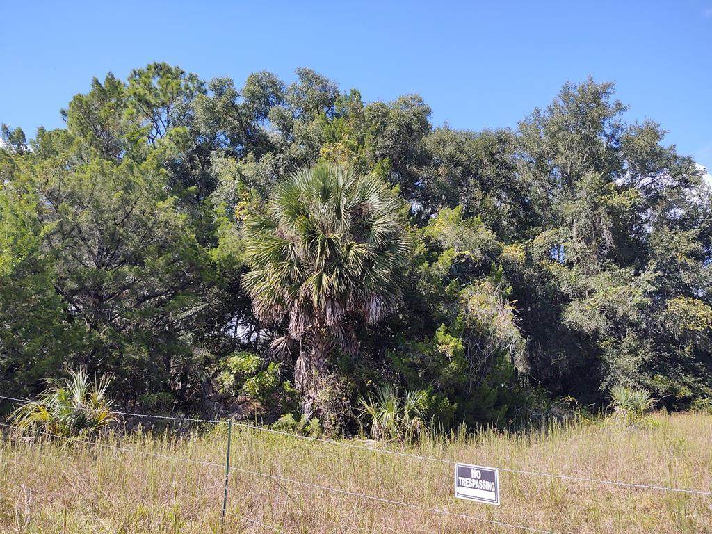 495 102nd Ave - Photo 1