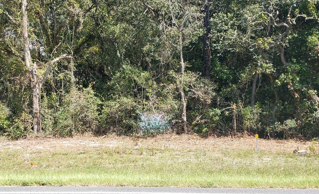 Lot 10 Us Hwy 19 - Photo 1