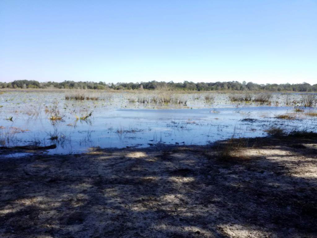 Lot 15 45th Ter - Photo 1