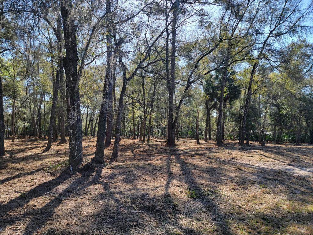 73rd Ct - Photo 1
