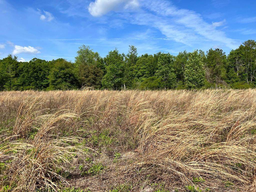 2239 County Road 138 - Photo 1