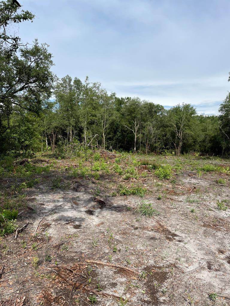 330 481st Ave - Photo 1