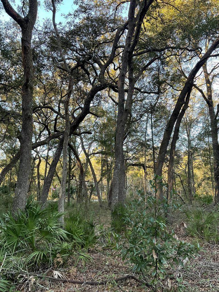 153rd Ln - Photo 1