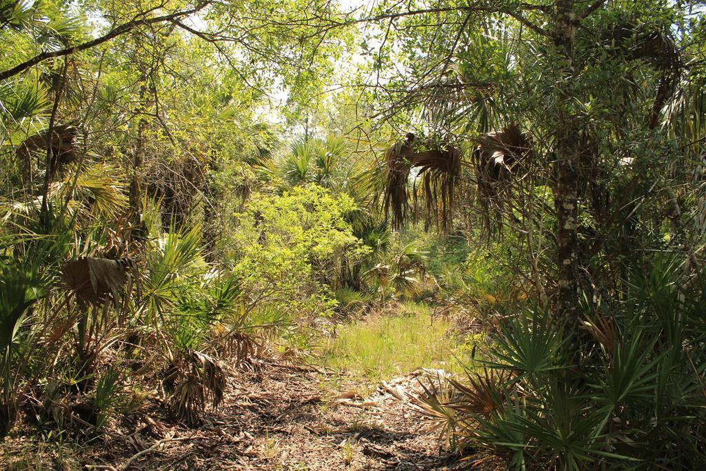 97 Buck Trail - Photo 1