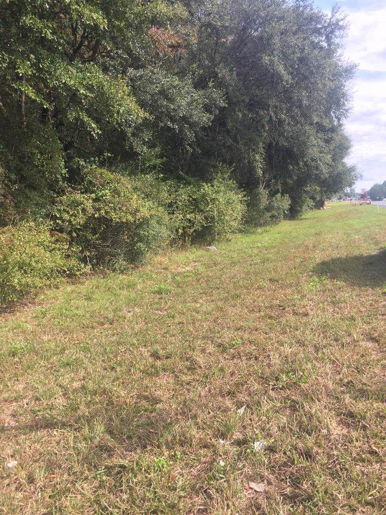 Se Us Hwy 19 - Photo 1