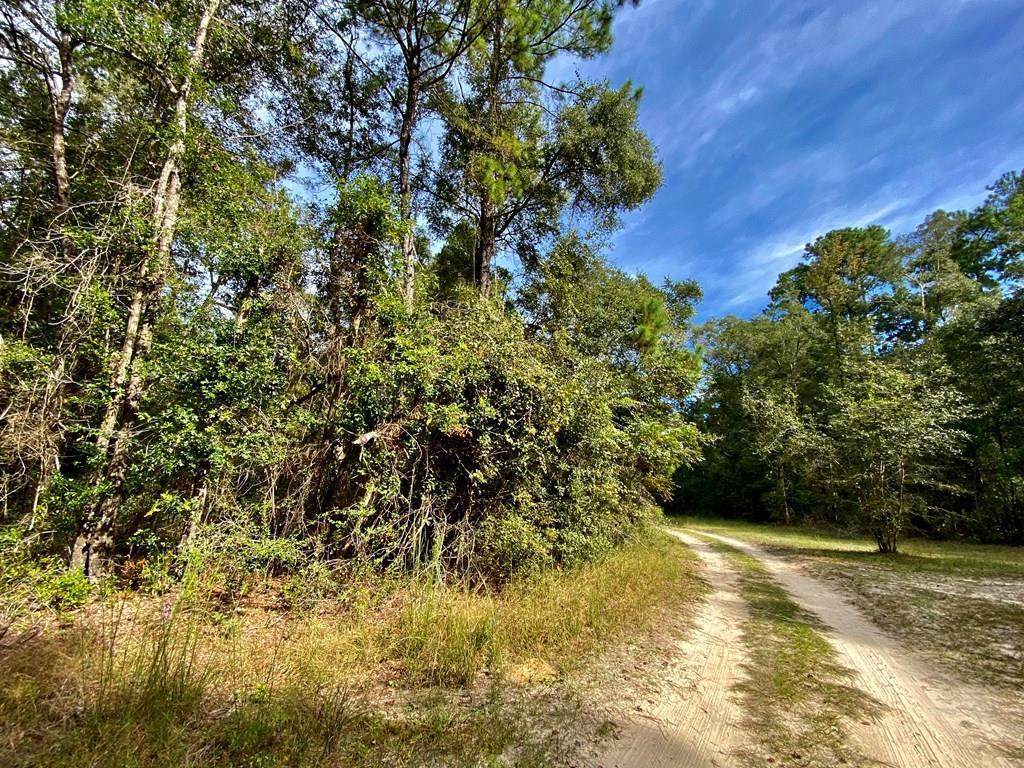 8.69acrs 780th St - Photo 1
