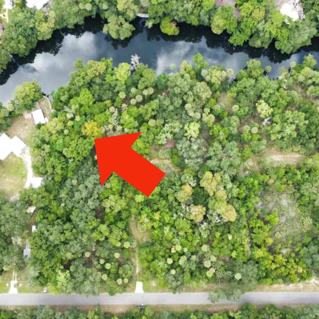 13159 Gulf Shores St - Photo 1