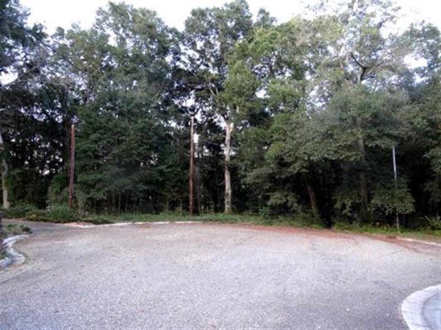 LOT18/19 High Bluff - Photo 1