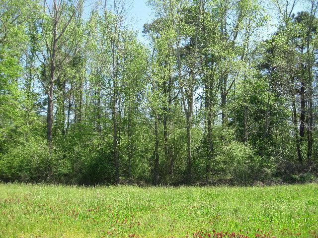 0 Highway 84 - Photo 1