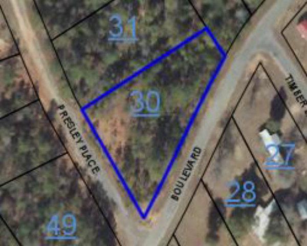 lot 217 Presley Place - Photo 1