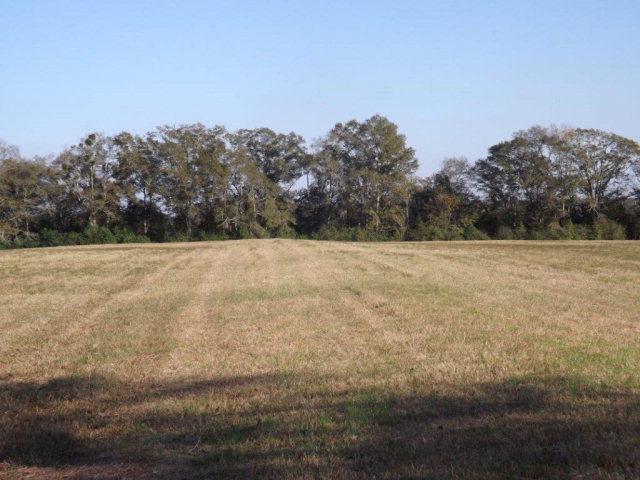 00 Co Rd 71 - Photo 1