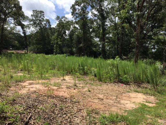 LOT 1 Dale Avenue - Photo 1