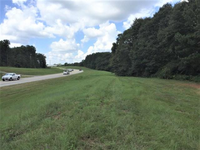 71 71 ACRES BOLL WEEVIL CIRCLE - Photo 1
