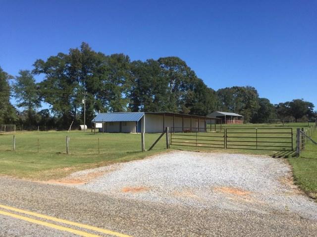 980 County Road 151 - Photo 1
