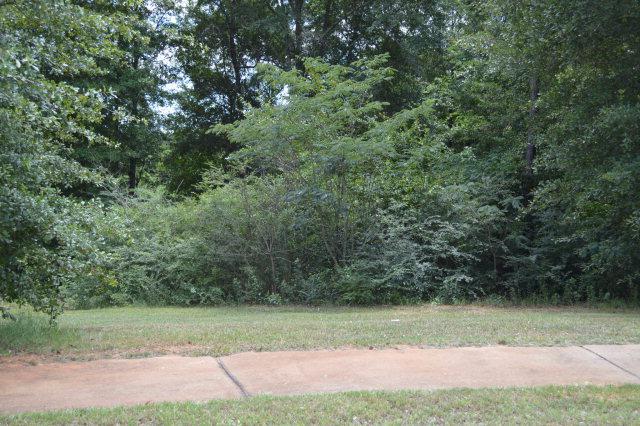 300 Turtleback Trail - Photo 1