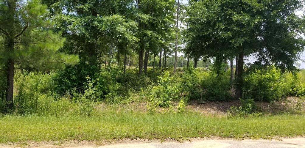 0 Kelsey Drive - Photo 1