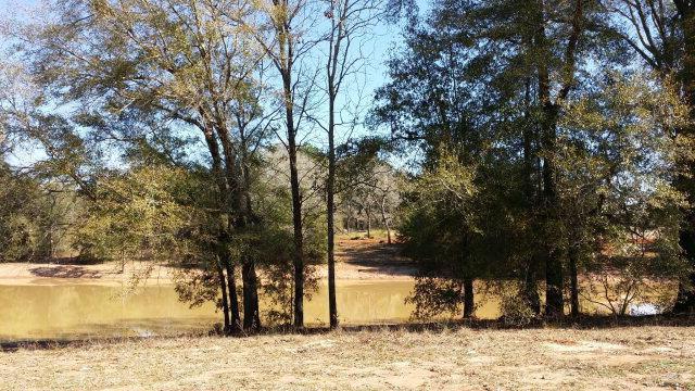104 Kennoway Ct - Photo 1