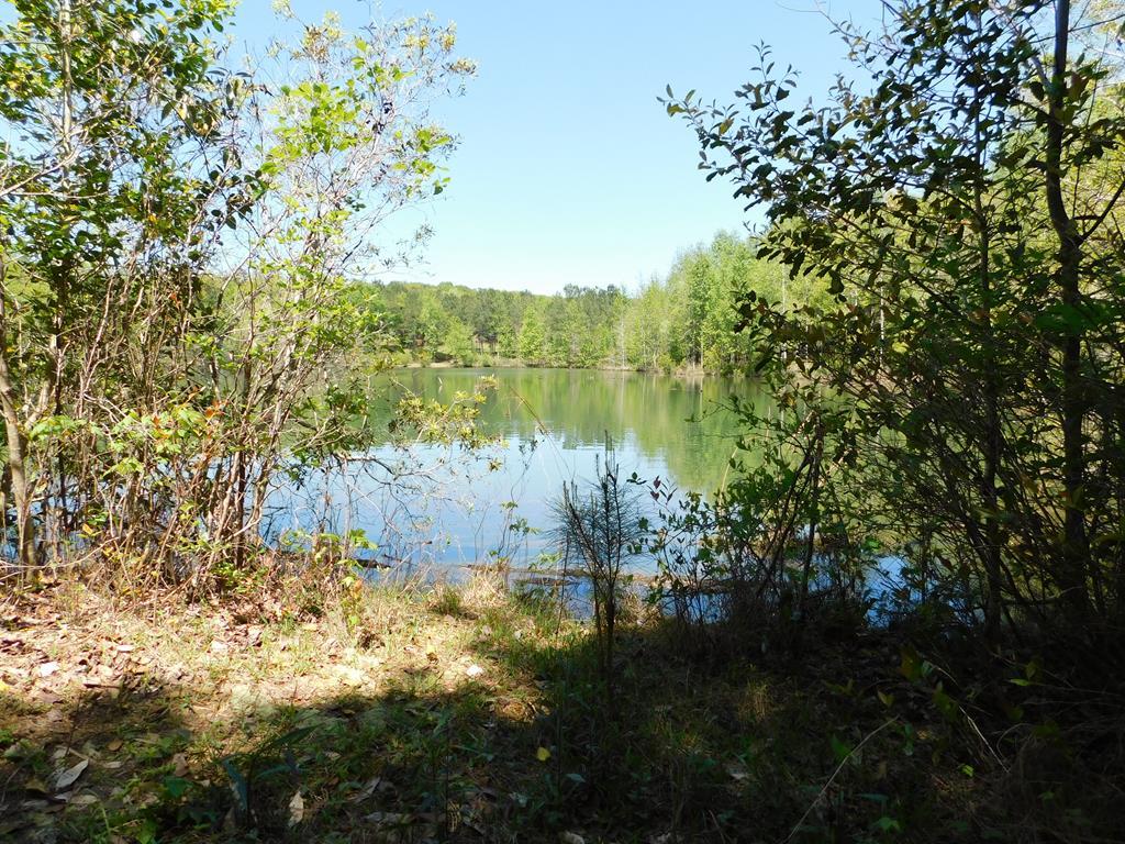 0 Hwy 51 Pr 1363 - Photo 1