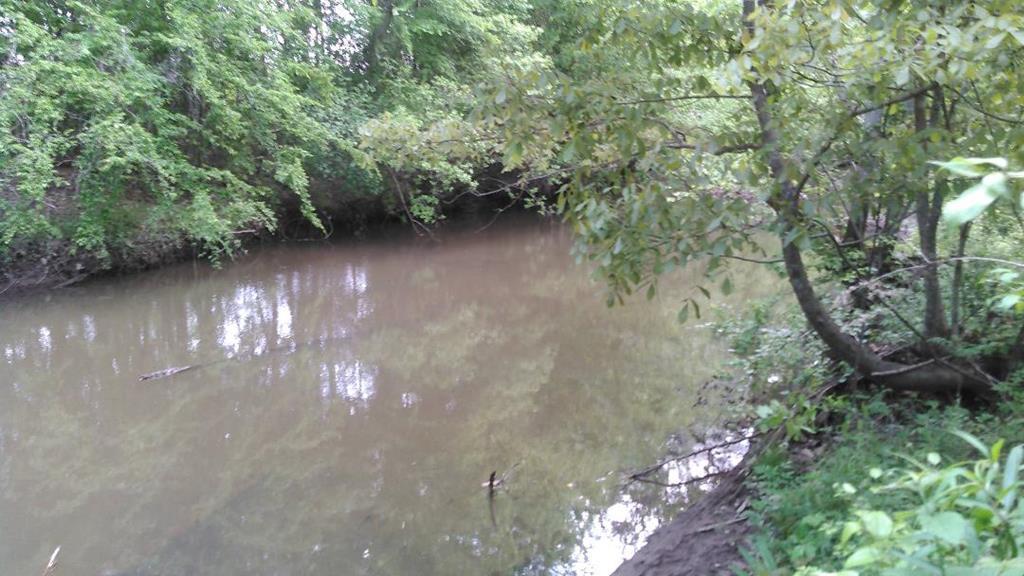 1 County Road 41 - Photo 1