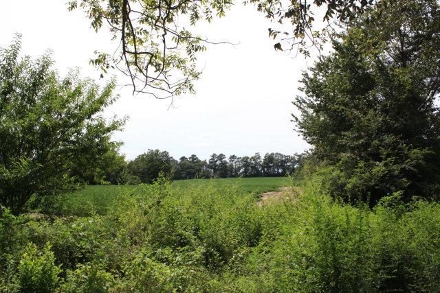 141 Case Rd - Photo 1