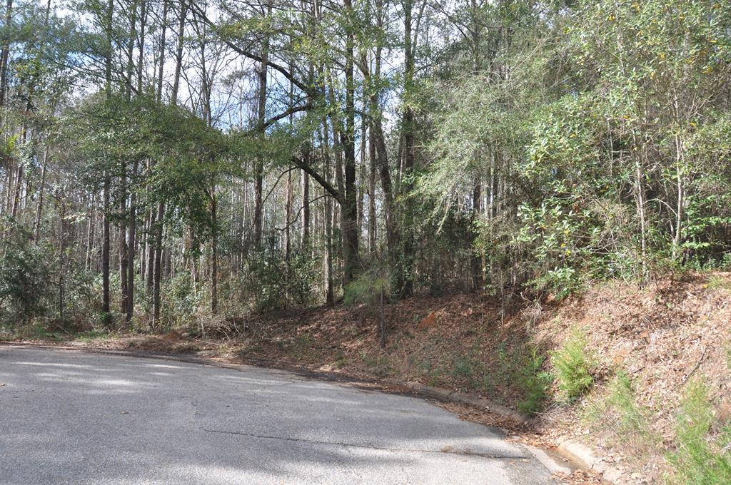 512 Laurel Breeze - Photo 1