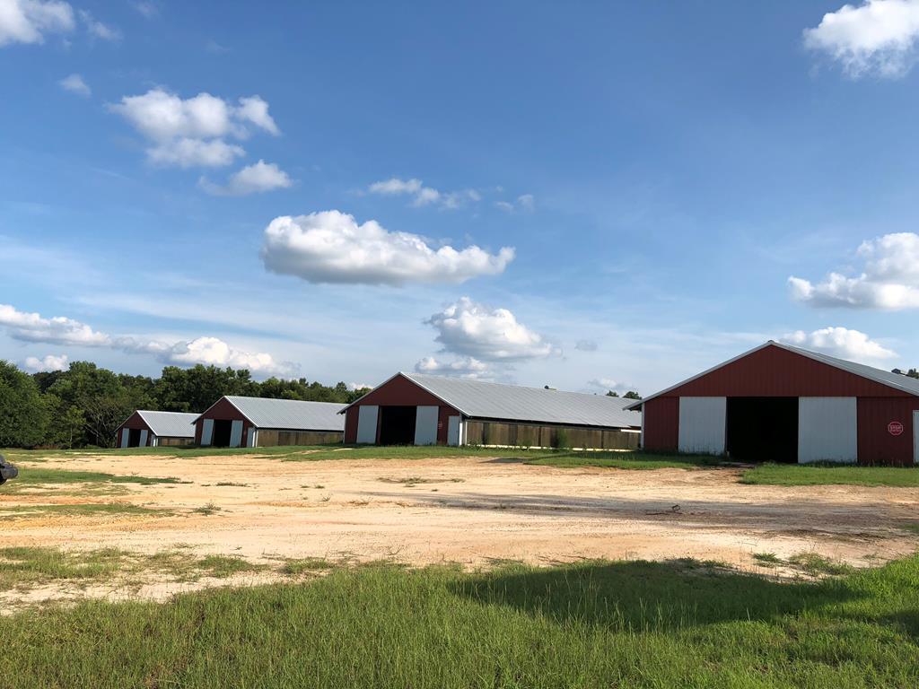 14 ACRES County Road 10 - Photo 1