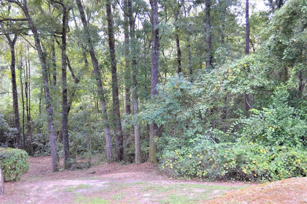 TBD Meadow Lane - Photo 1