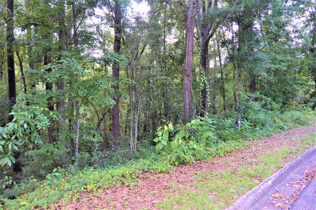 TBD Meadow Lane - Photo 1