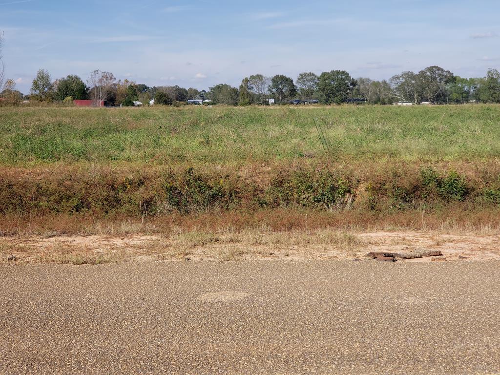 4 ACRES Hartzog Road - Photo 1