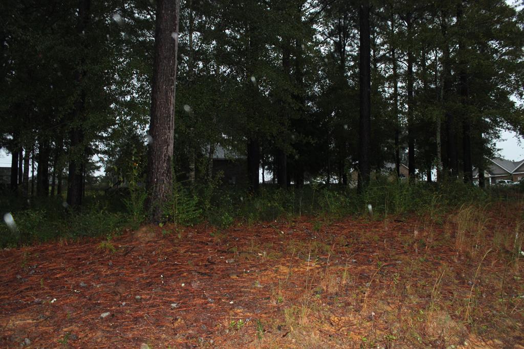 0 Bellwood Trail - Photo 1