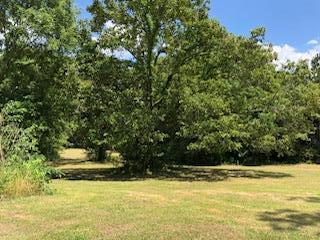 3990 Hwy 51 - Photo 1