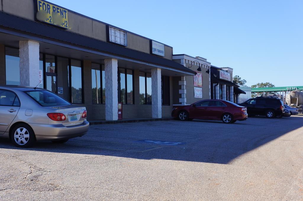 4074 Highway 231 - Photo 1