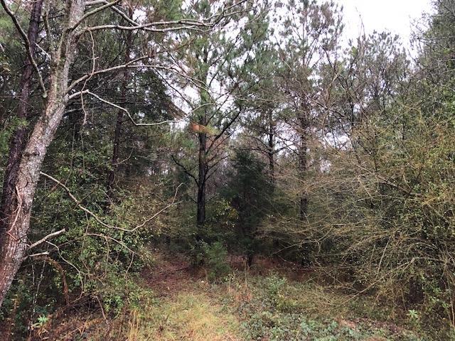 0 Will Logan Road - Photo 1