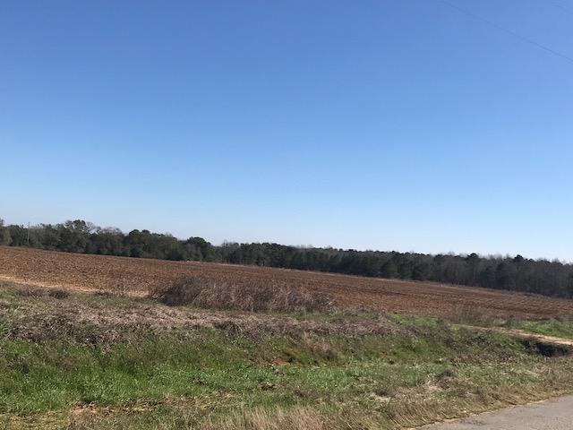 0 County Road 11 - Photo 1