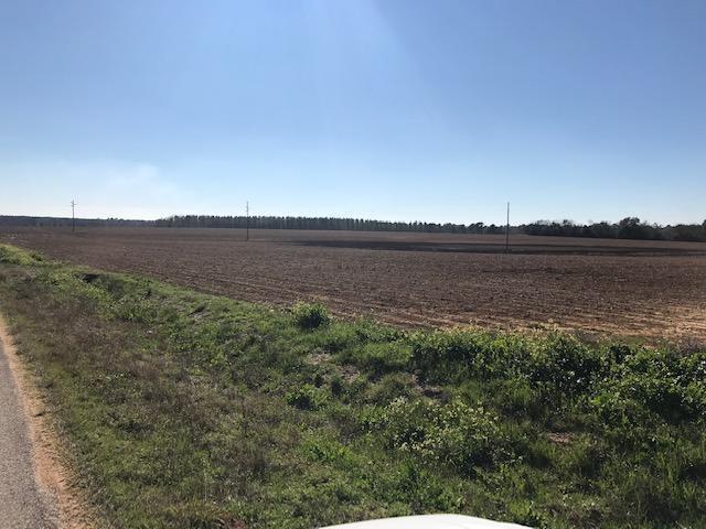 0 County Road 11 - Photo 1
