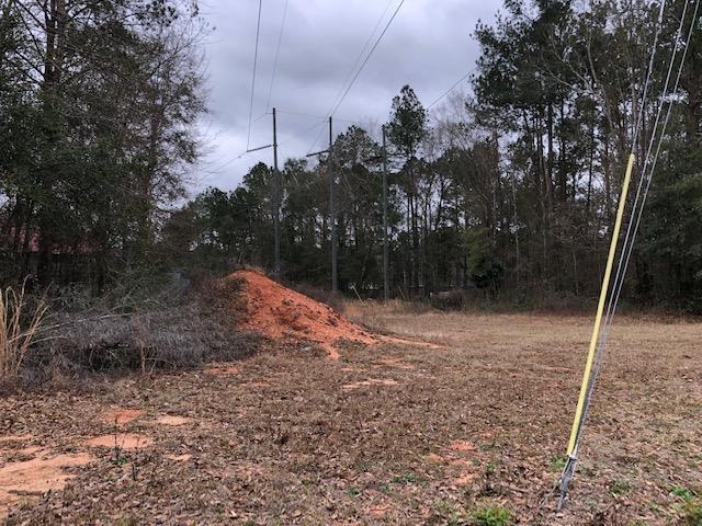 Lot A16 Ridgewood Dr - Photo 1