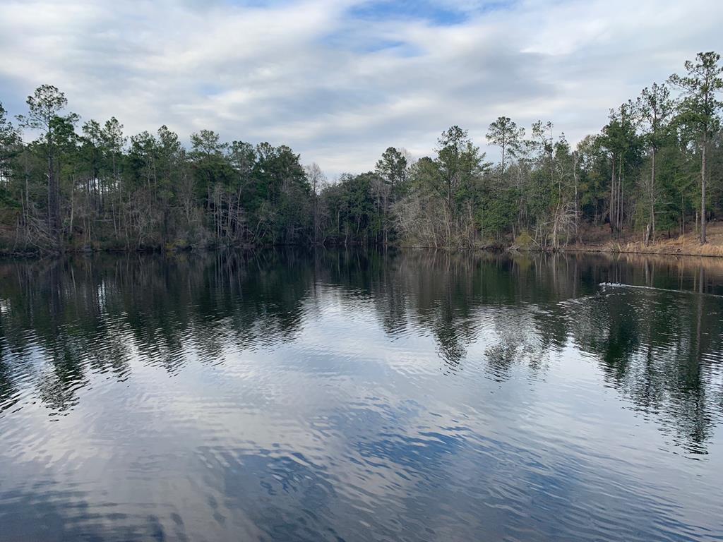 5496 County Road 99 - Photo 1